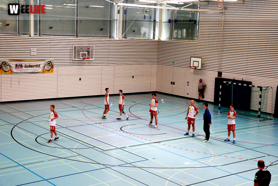 Handball Landesliga-Quali