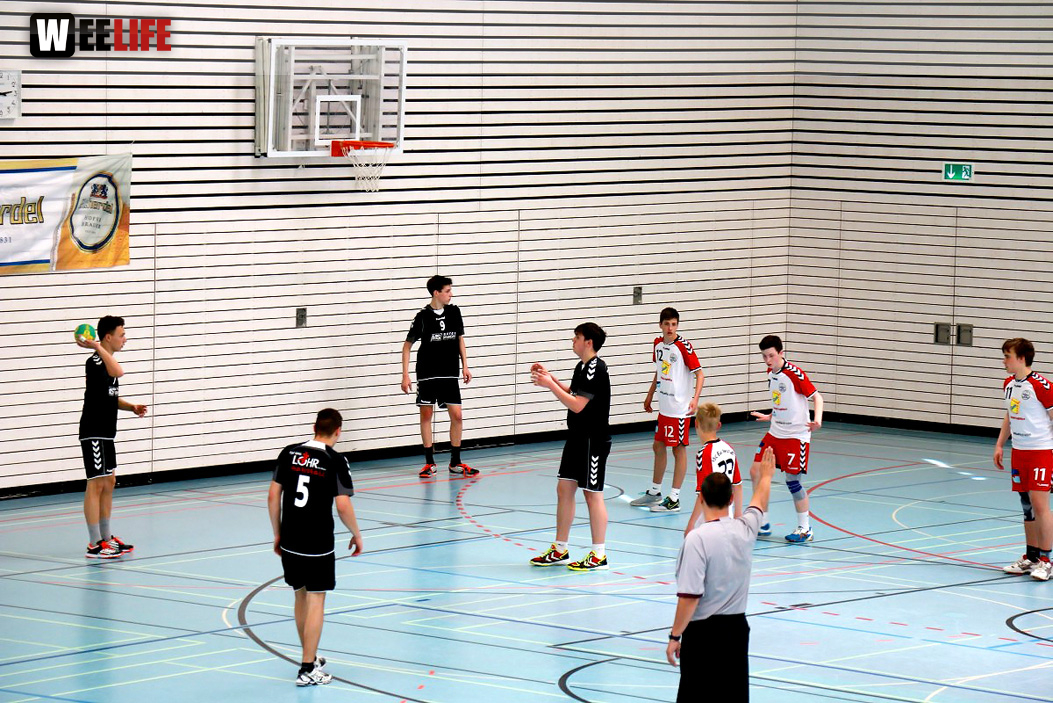 Handball Landesliga-Quali