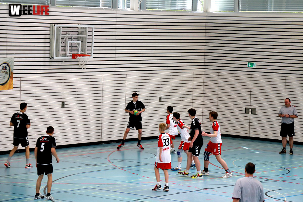 Handball Landesliga-Quali