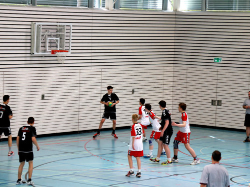 Handball Landesliga-Quali – Foto 8