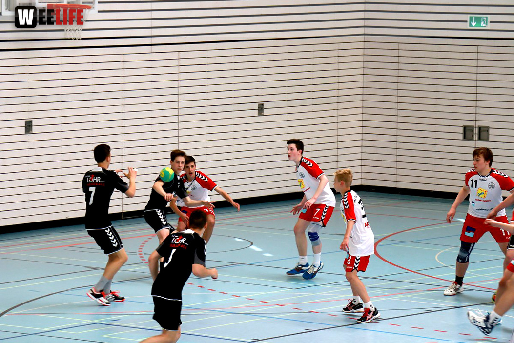 Handball Landesliga-Quali