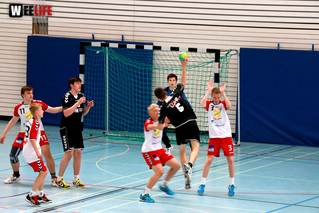 Handball Landesliga-Quali