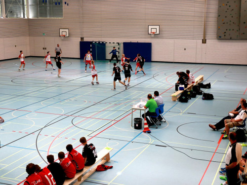 Handball Landesliga-Quali – Foto 11