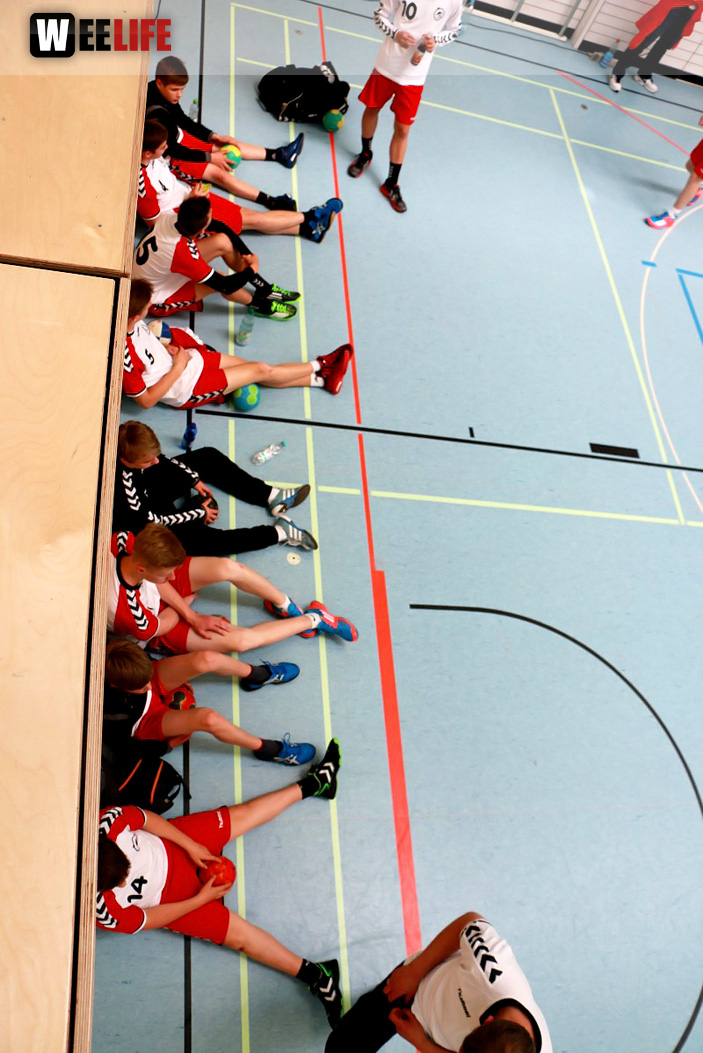 Handball Landesliga-Quali