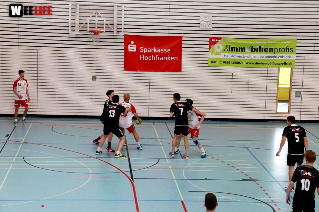 Handball Landesliga-Quali