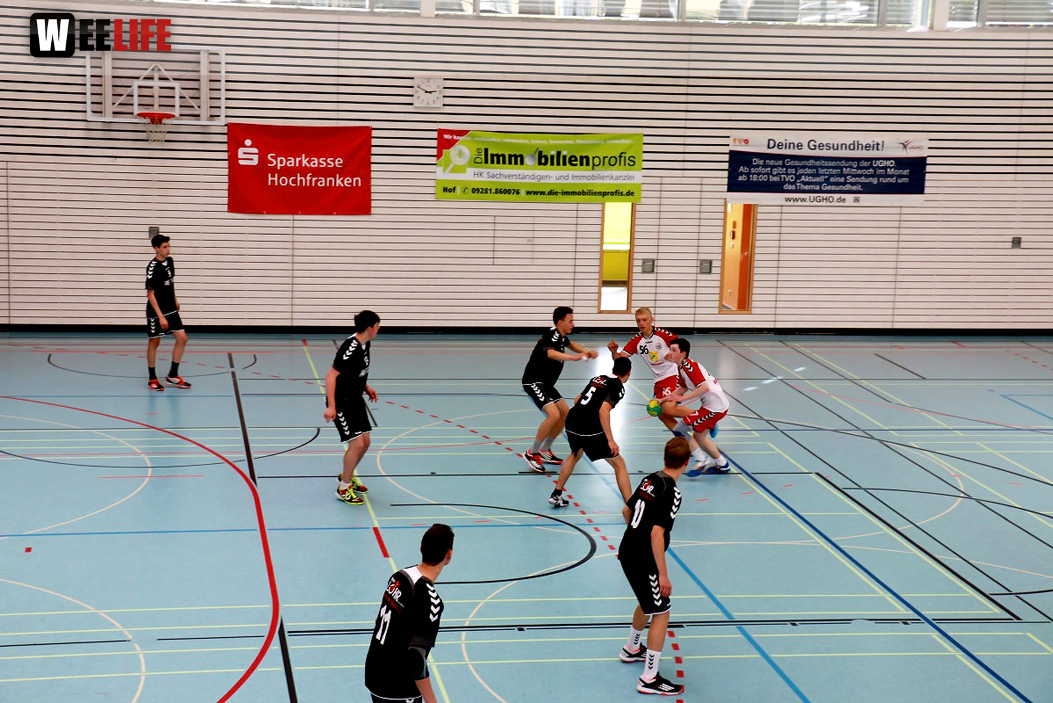 Handball Landesliga-Quali