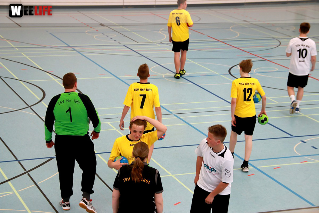 Handball Landesliga-Quali