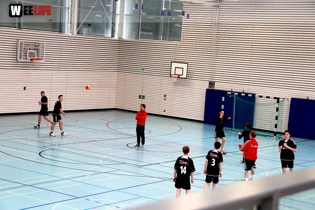 Handball Landesliga-Quali