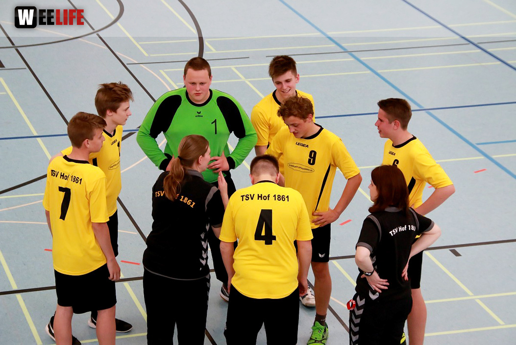 Handball Landesliga-Quali
