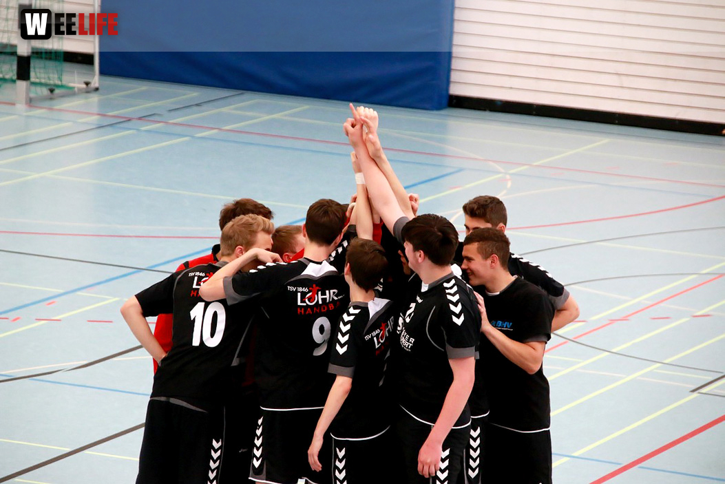 Handball Landesliga-Quali