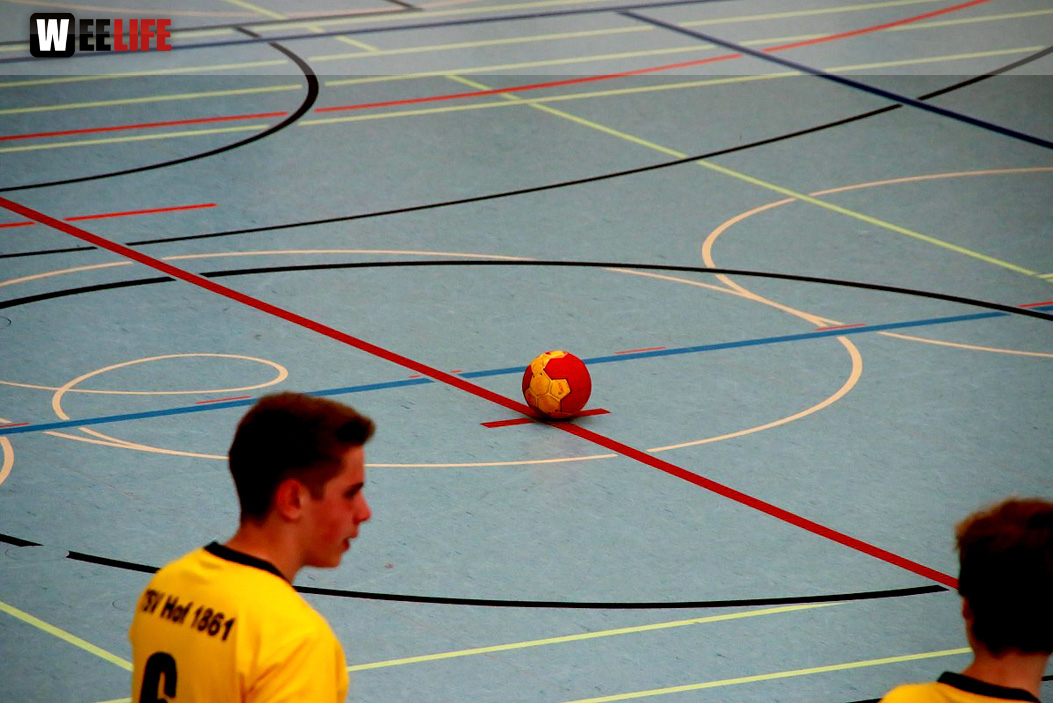 Handball Landesliga-Quali