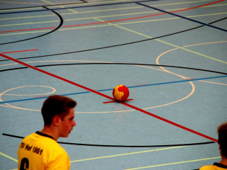 Foto 131680 im Album