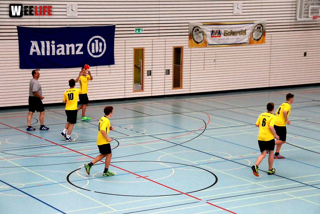 Handball Landesliga-Quali