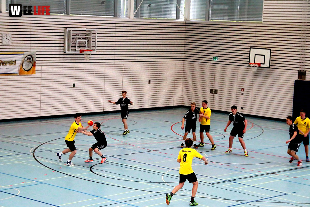Handball Landesliga-Quali