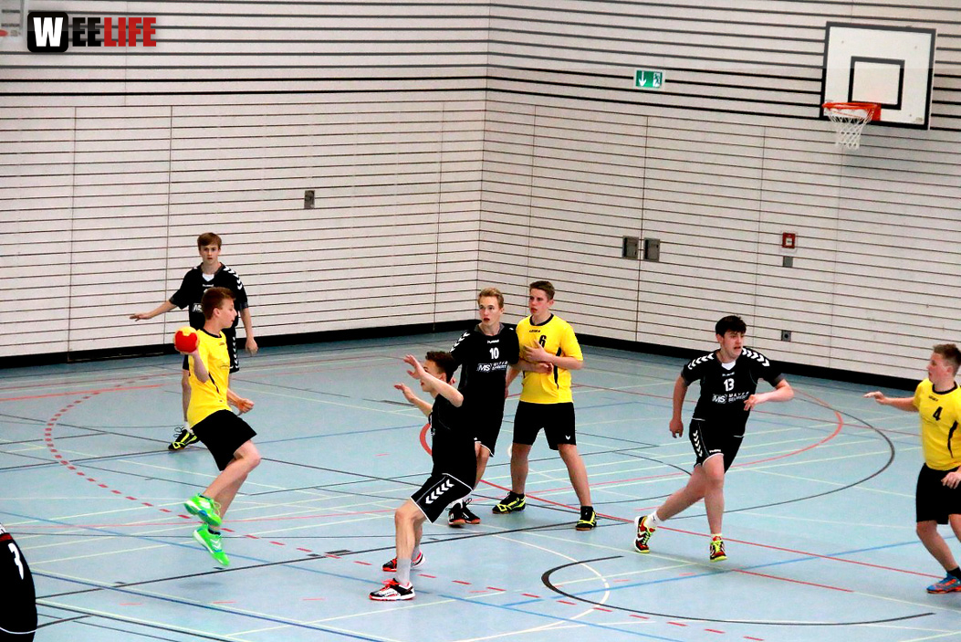 Handball Landesliga-Quali