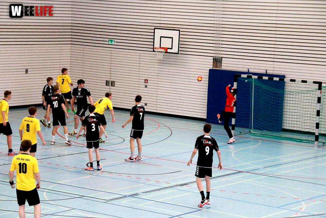 Handball Landesliga-Quali