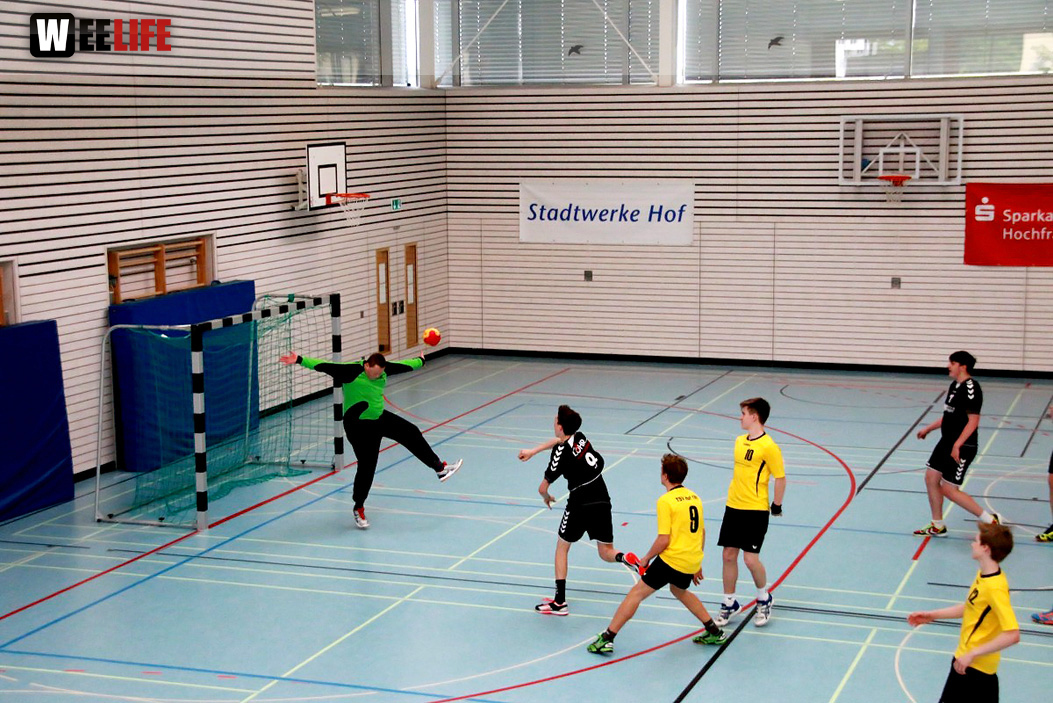 Handball Landesliga-Quali