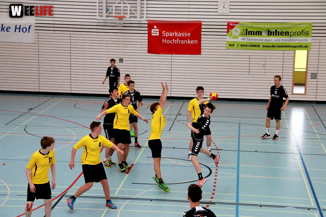 Handball Landesliga-Quali
