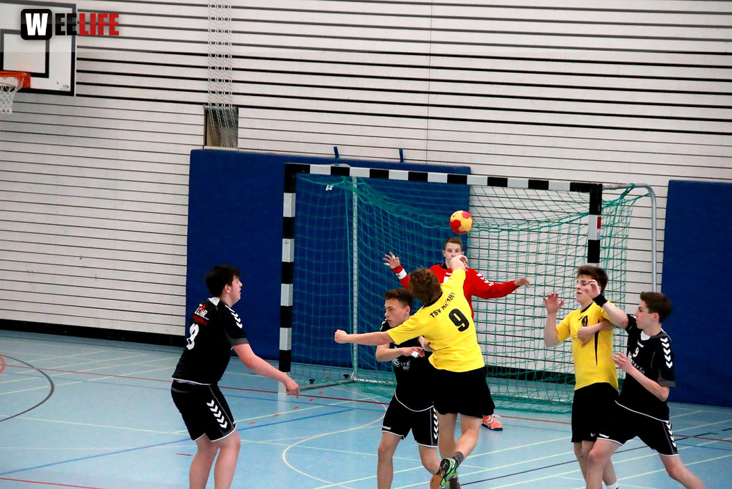 Handball Landesliga-Quali