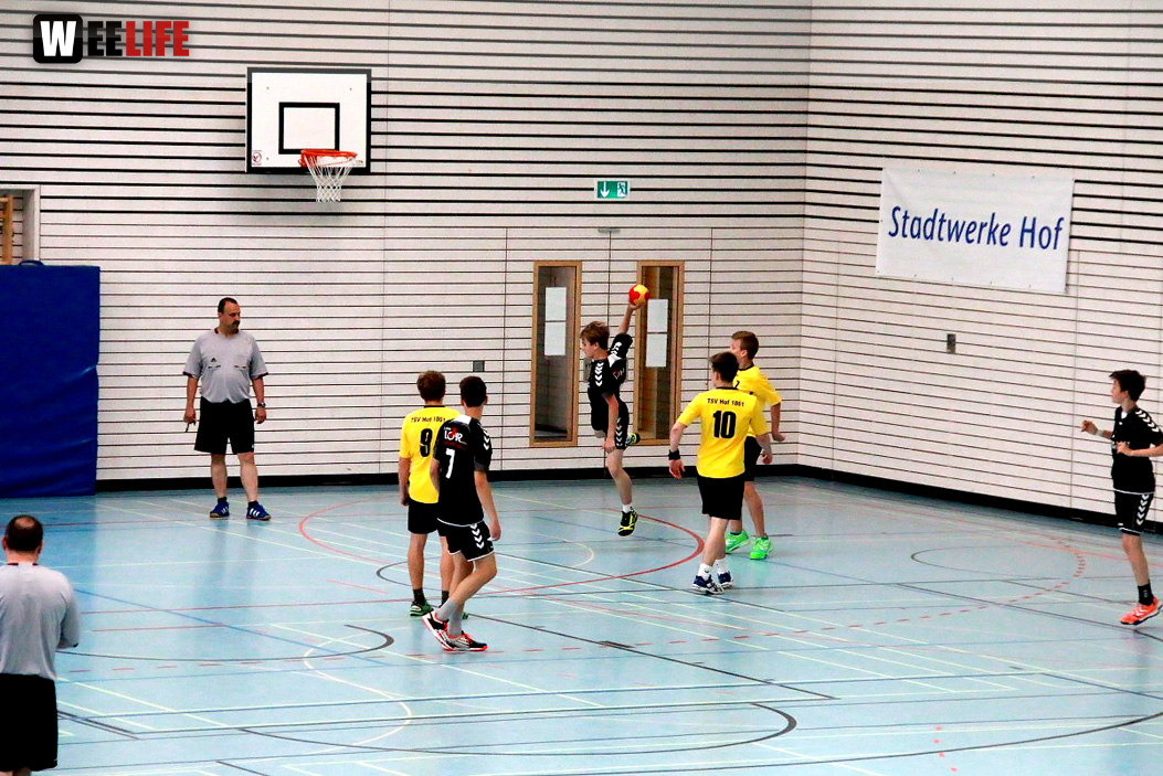 Handball Landesliga-Quali