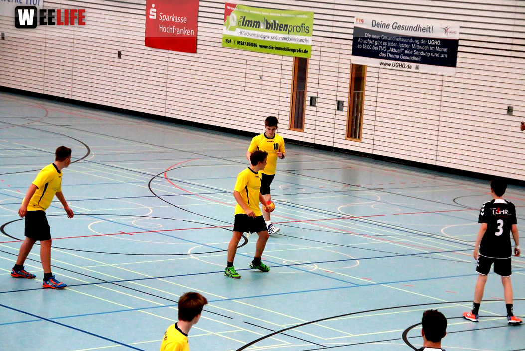 Handball Landesliga-Quali