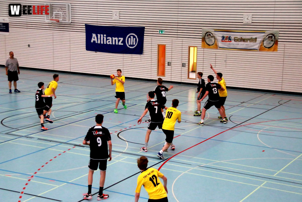 Handball Landesliga-Quali
