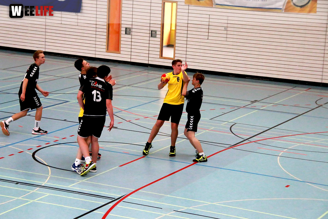Handball Landesliga-Quali