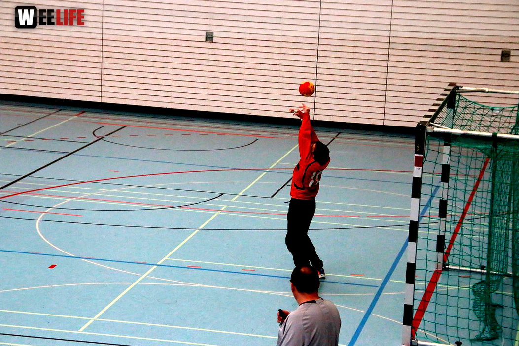 Handball Landesliga-Quali
