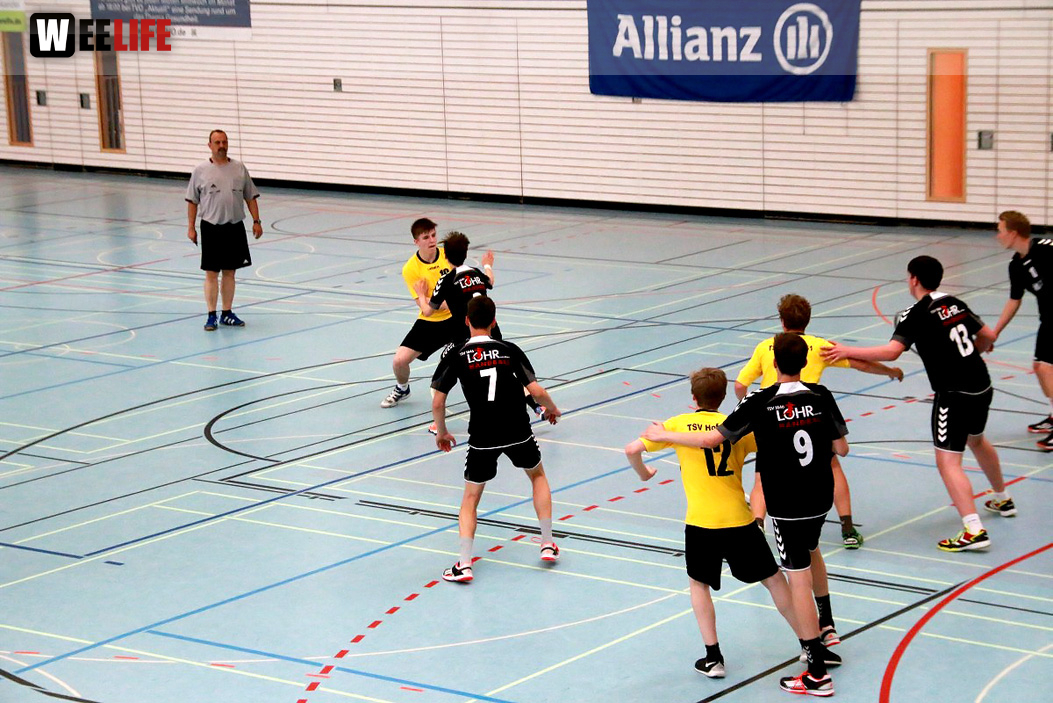 Handball Landesliga-Quali
