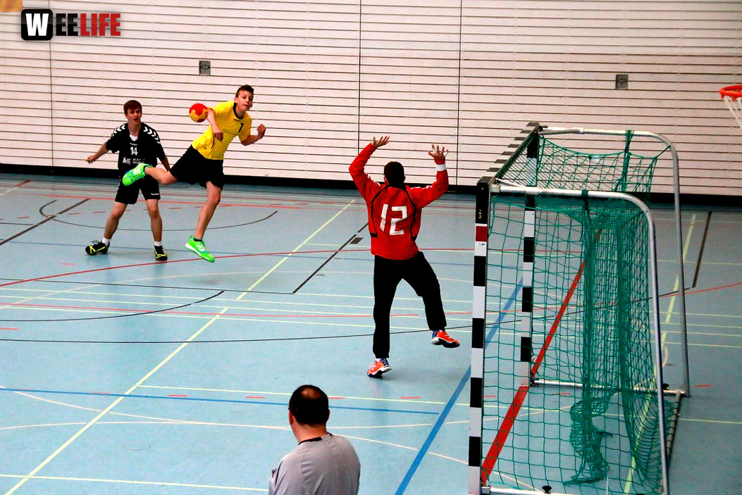 Handball Landesliga-Quali