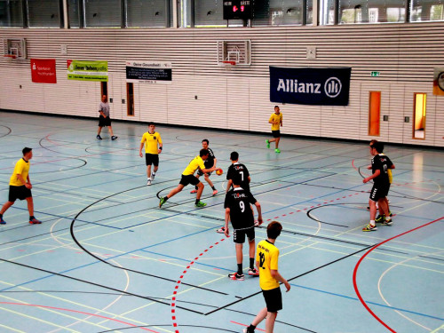 Handball Landesliga-Quali – Foto 49