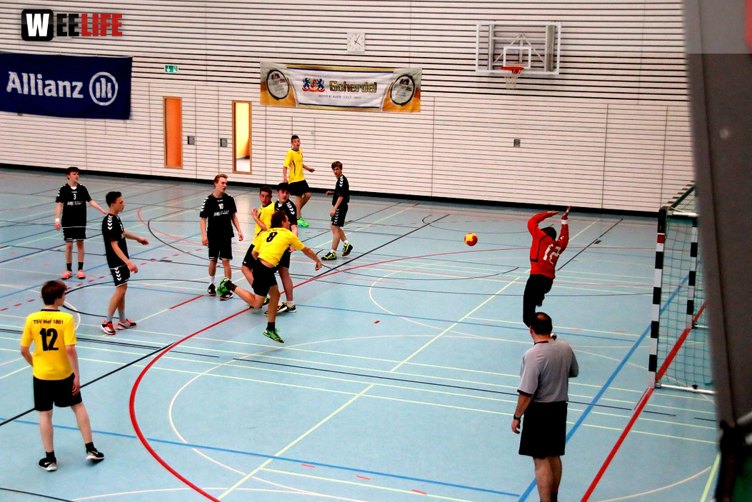 Handball Landesliga-Quali