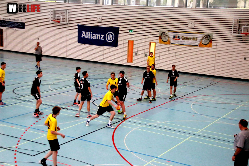 Handball Landesliga-Quali
