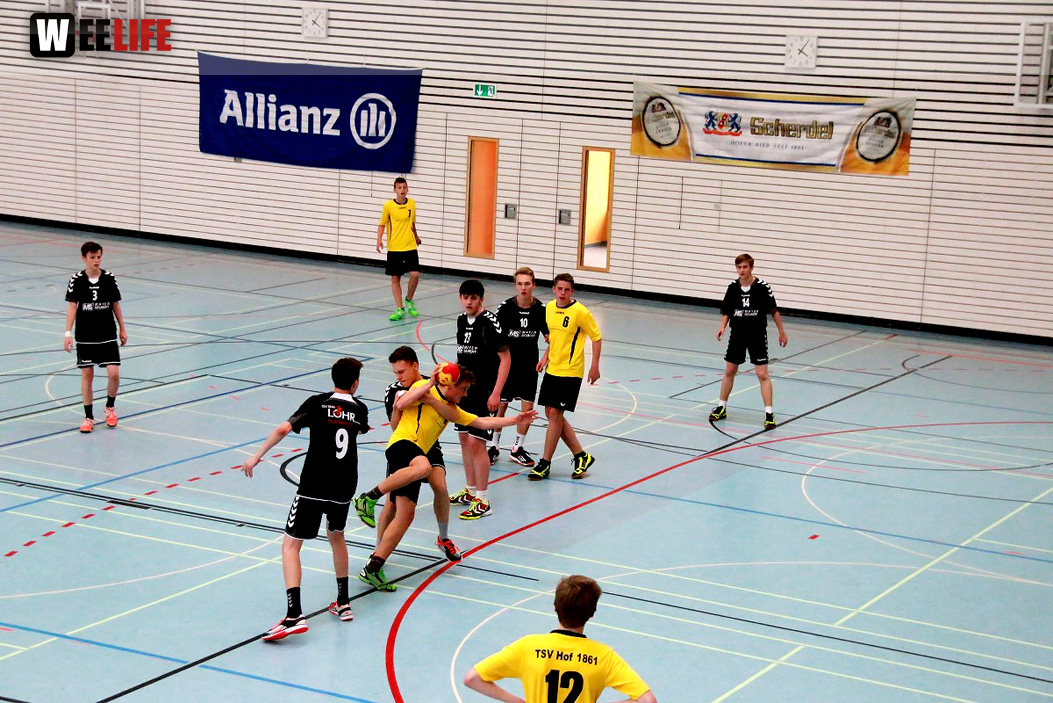 Handball Landesliga-Quali