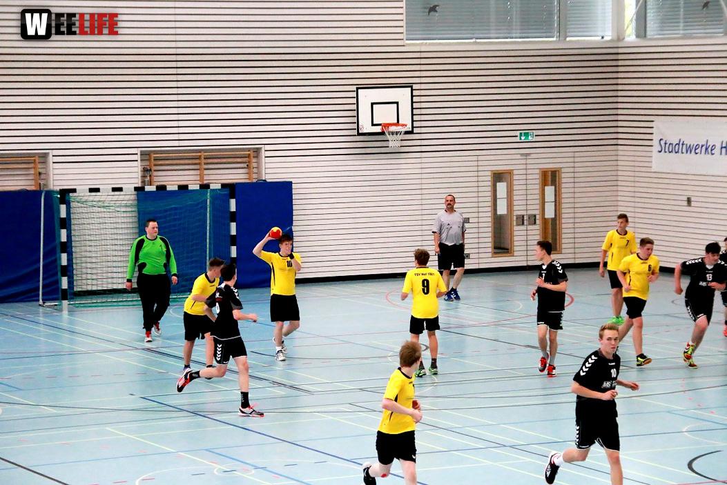 Handball Landesliga-Quali