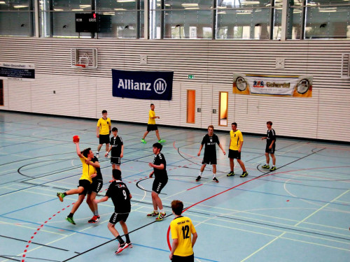 Handball Landesliga-Quali – Foto 57