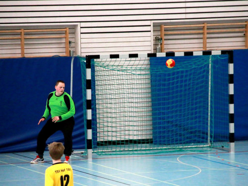 Handball Landesliga-Quali – Foto 58