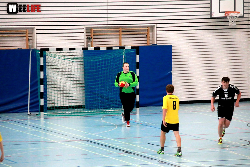 Handball Landesliga-Quali