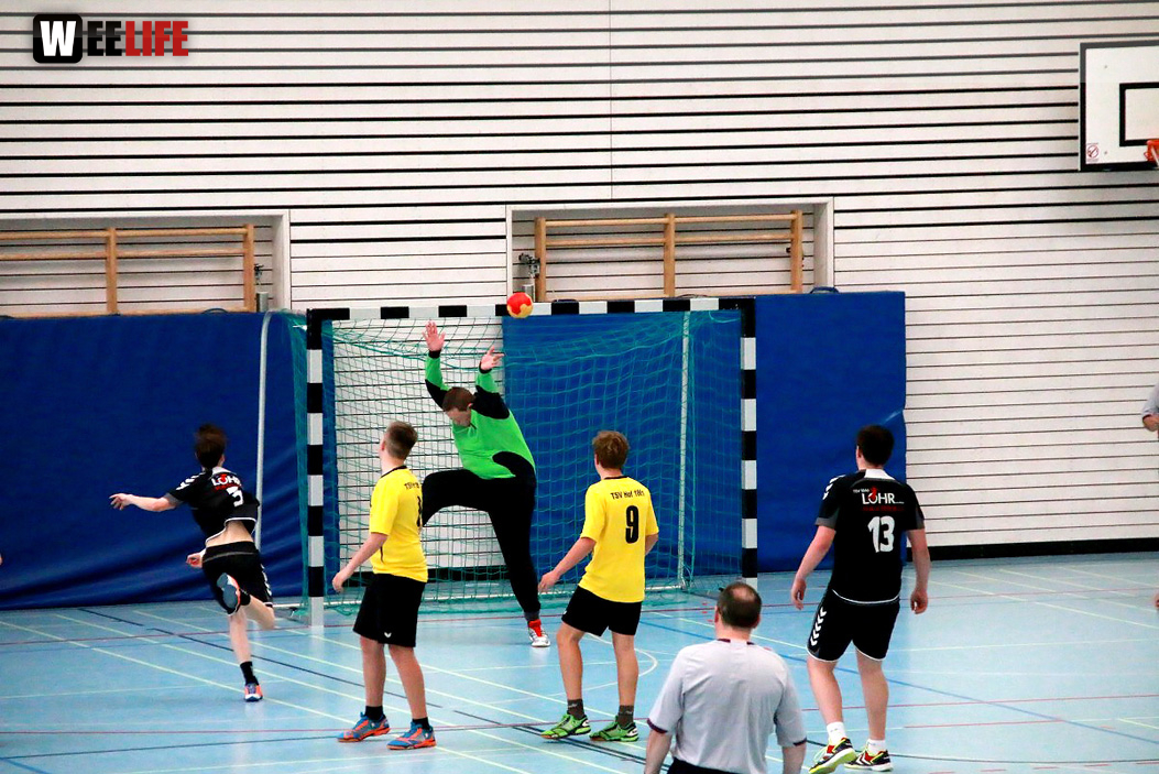Handball Landesliga-Quali