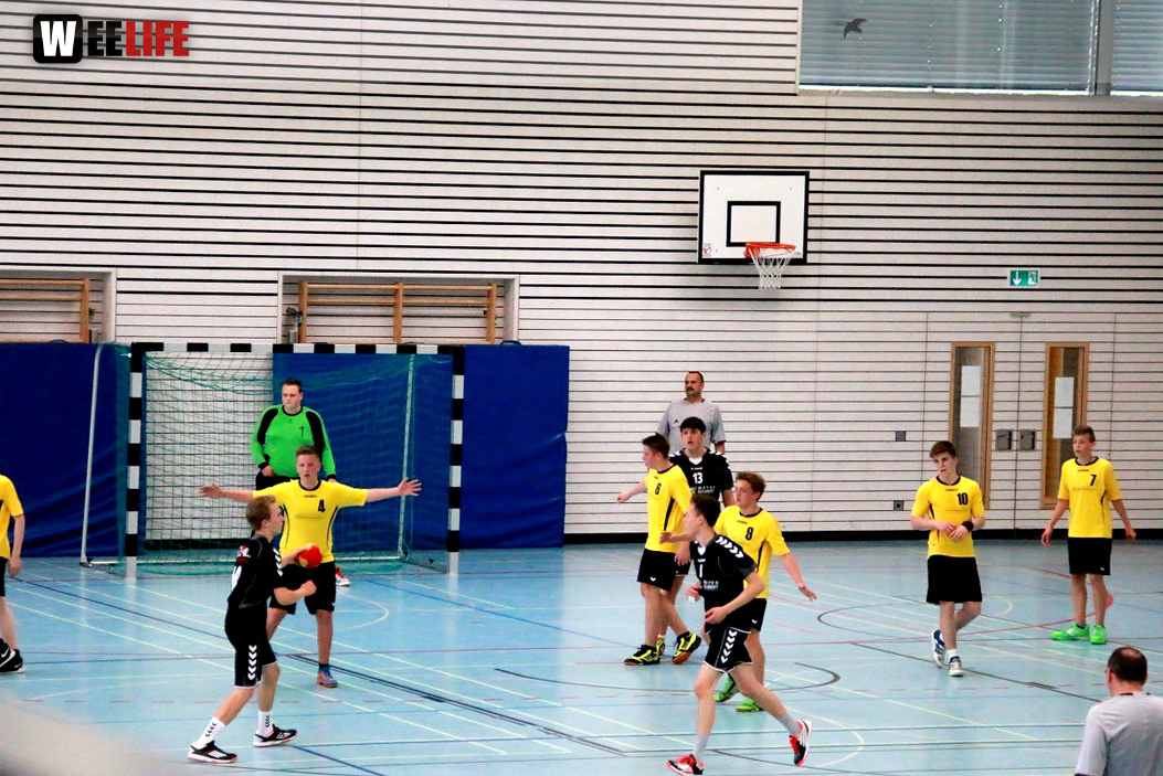 Handball Landesliga-Quali