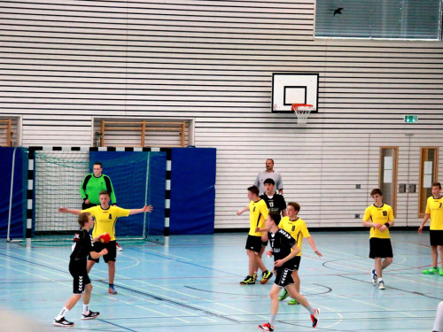 Handball Landesliga-Quali – Foto 63