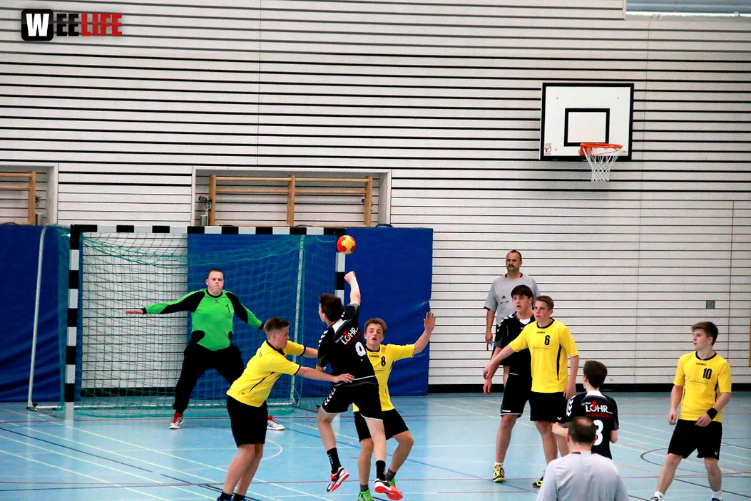 Handball Landesliga-Quali