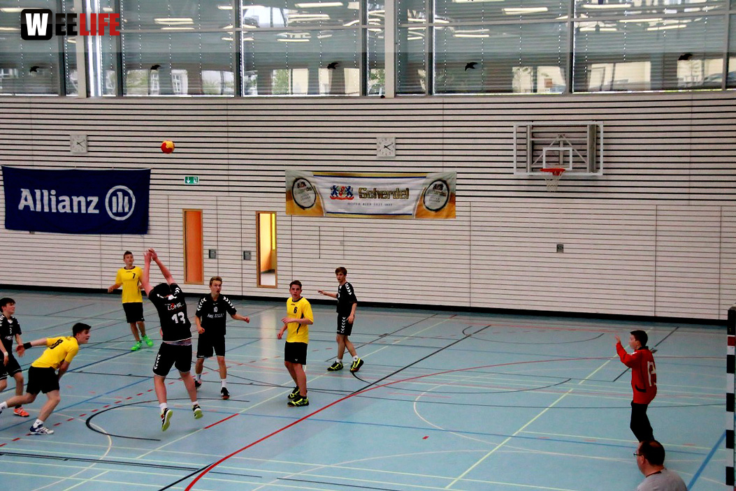 Handball Landesliga-Quali