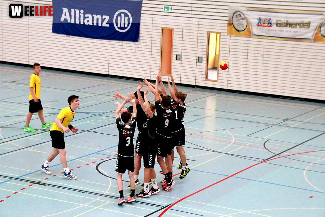 Handball Landesliga-Quali
