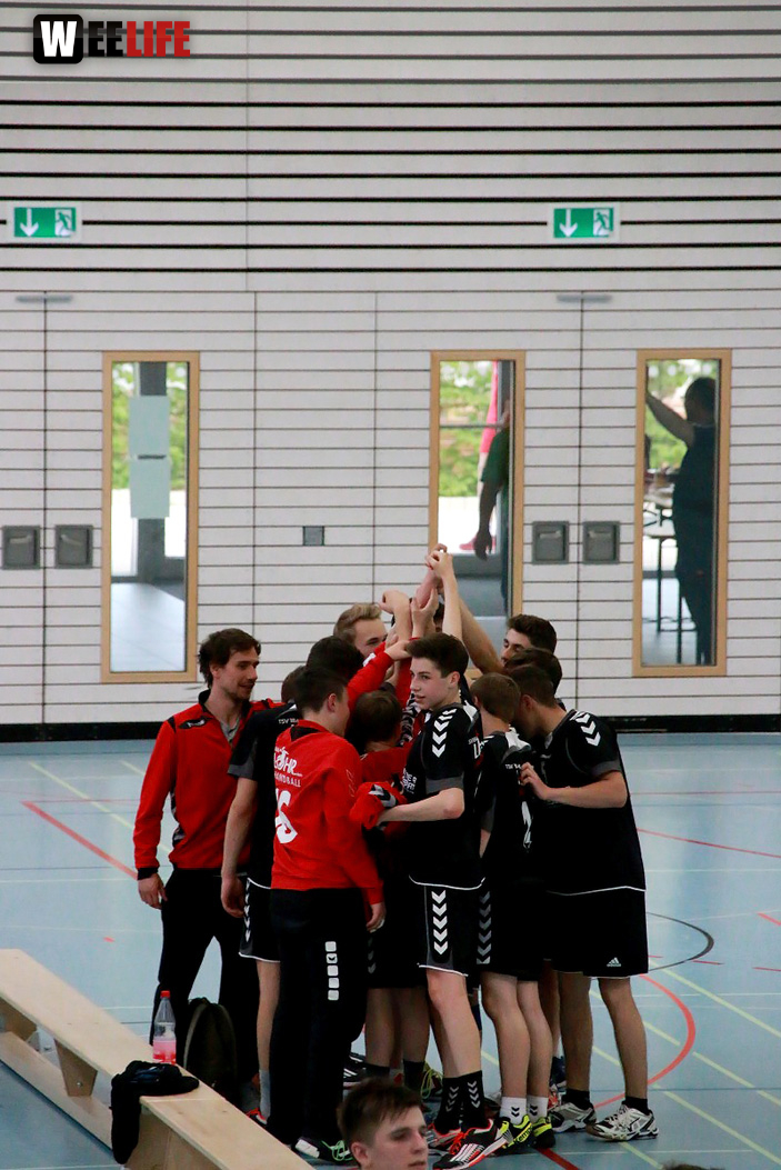 Handball Landesliga-Quali
