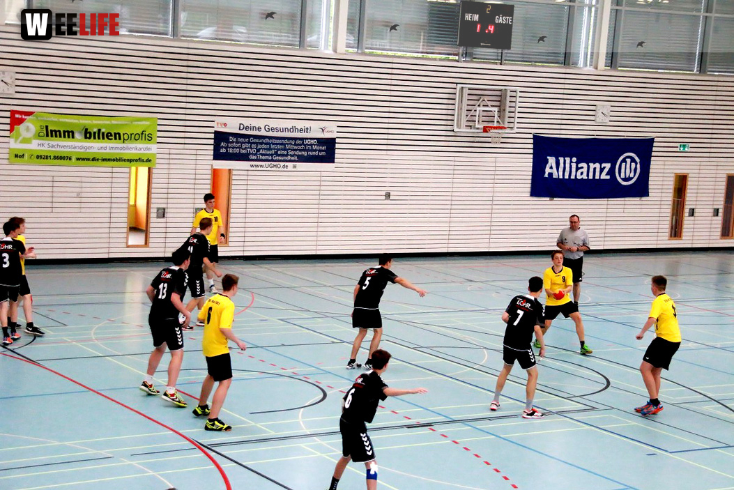 Handball Landesliga-Quali