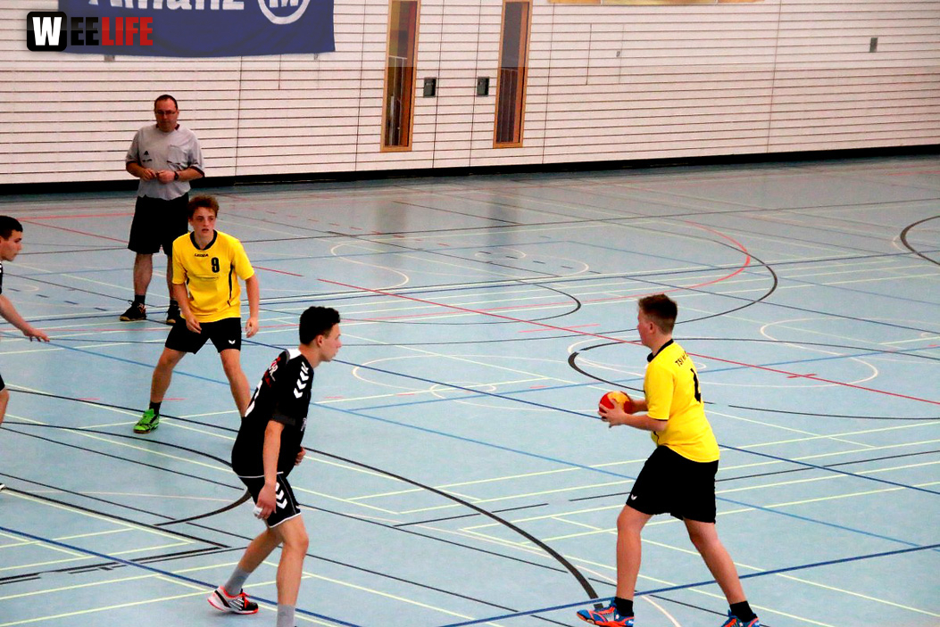 Handball Landesliga-Quali