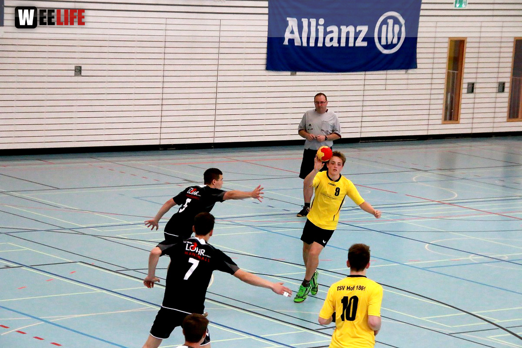 Handball Landesliga-Quali