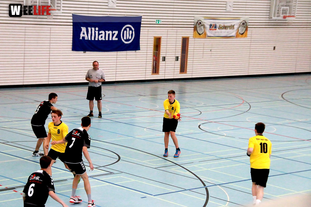 Handball Landesliga-Quali