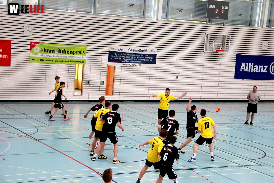 Handball Landesliga-Quali